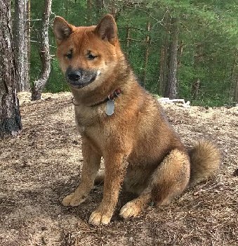 Каю восемь месяцев