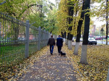 И в городе очарование осени чувствуется благодаря листопаду)