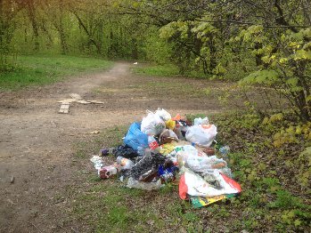 А рядом с детской площадкой в городском лесочке скопились горы мусора