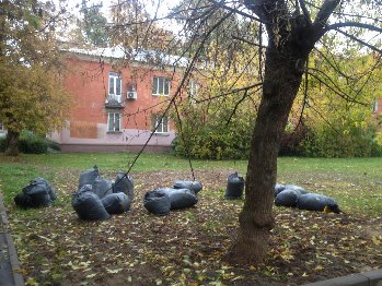 Разговорилась с дворничихой. Под маленькими тремя деревцами в одном из двориков ( участочек 10 Х 10 метров, в листопад сгребается около 90 мешков. Представляете, как беднеет земля, а сколько целлофановых мешков отправляются потом, как мусор, продолжая загрязнять окружающую среду! Ведь эти мешки из-под листвы и есть мусор, они разложатся лет этак через 300.