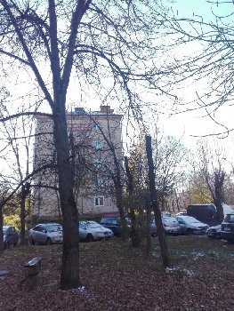 гипертоппинг и мёртвые деревья в Подольске IMG_20171022_134651.jpg