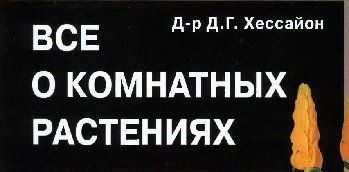 мирт1.JPG