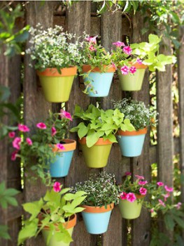 Ideas_for_Garden_17.jpg