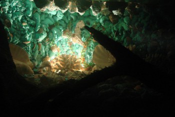 Свет в аквариуме выключен задник подсвечен частично снизу.