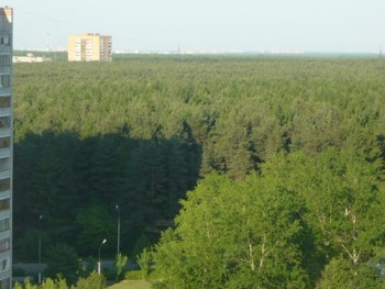 P1010300.jpg