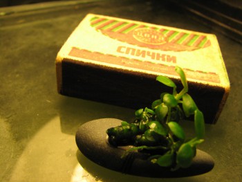 аква20-14 011.jpg