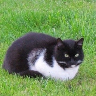 TicWObE1BK0 — копия.jpg