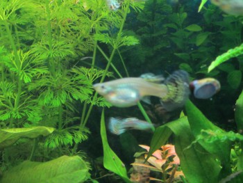 IMG_2470 (1280x960).jpg