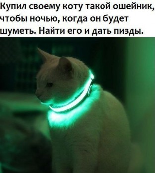 1MxucaY5JpA.jpg