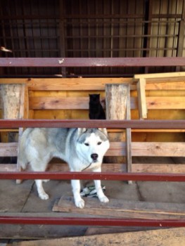 sorF_Hbbk5E — копия.jpg