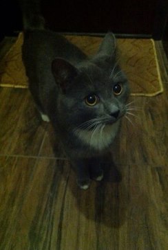 zXa5aNgZJl0 — копия.jpg