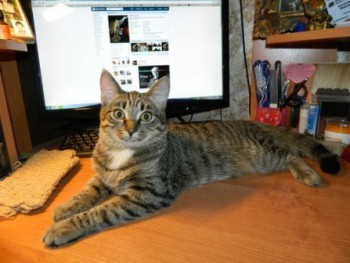 Xk-Qxb31OIU — копия.jpg