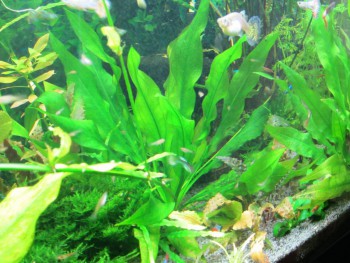 IMG_2531 (1280x960).jpg