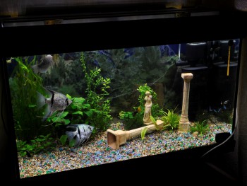 сравниваем освещенность камерой с ручными настройками: ИСО - 200, выдержка - 100