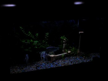 сравниваем освещенность камерой с ручными настройками: ИСО - 200, выдержка - 100