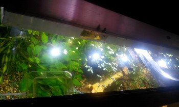 фото сверху (достаточно места чтобы покормить рыб, сменить воду, пересадить растения и т. п. при откинутой передней крышке)