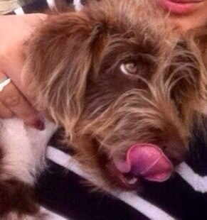 у щербинки.jpg