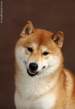 улыбнись , мама!