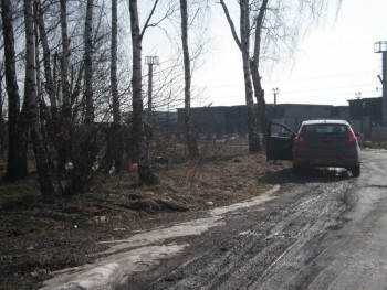 Куда ж без шашлыков