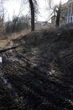 за усадьбой.jpg