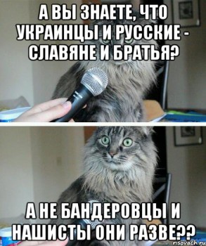 kot-s-mikrofonom_укр росс.jpeg