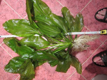 IMG_2601 (1280x960).jpg