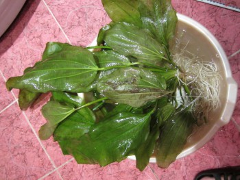 IMG_2603 (1280x960).jpg