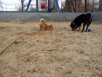 и снова парк