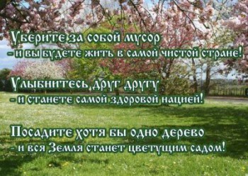 страна.jpg