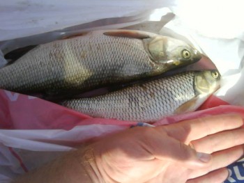 рыбалка 20.06.10.JPG