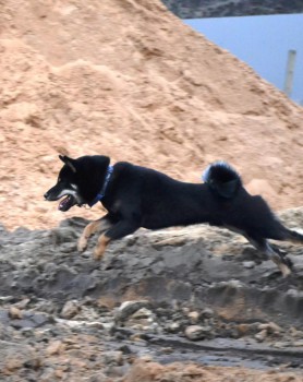 летающий мальчик