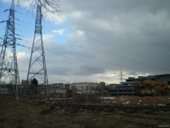 10065.jpg