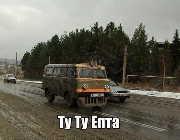 туту.jpg