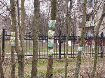 виноградная аллея.jpg