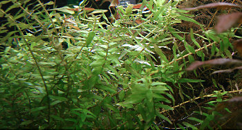 DSC00040_1.jpg