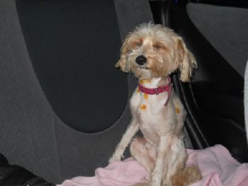 iI2H2EOdsUc — копия.jpg