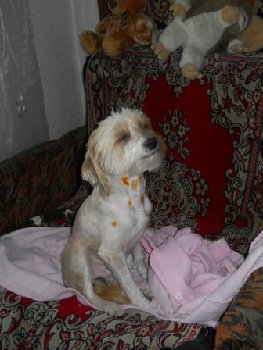 hQhD2nEUAUY — копия.jpg