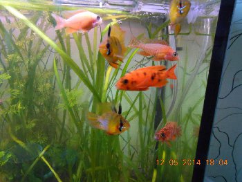 Изображение 012.jpg