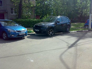 на газоне.jpg