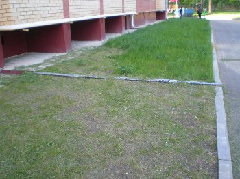 Не достригли еще