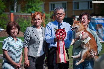 победитель выставки