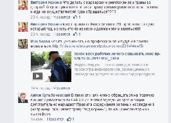 лысые газоны.jpg