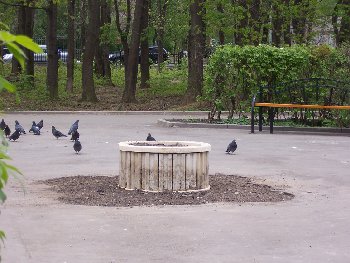 после ремонта клумбы выглядят так