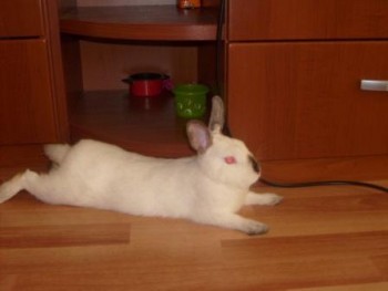 бани.JPG