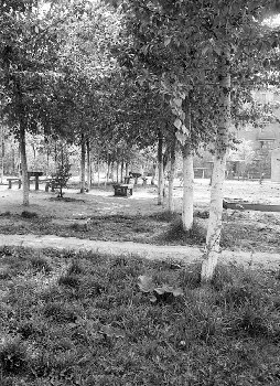 Маштакова, 8