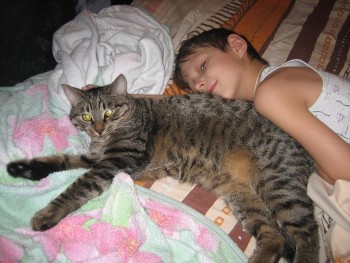 Изображение 001.JPG