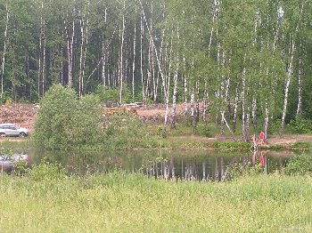 10558.jpg