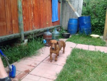 такса найдена Знамя Октября.jpg