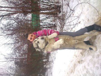 маламут пропал — копия.jpg