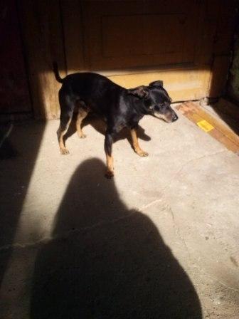 в Шепчинках той — копия.jpg